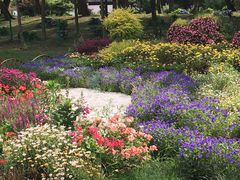 -上海共青森林公园