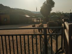 -无锡动物园·太湖欢乐园