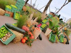 -中国天府农业博览园