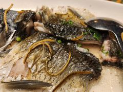 -顺意·顺德家乡菜(国际人才大厦店)