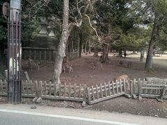 -奈良公园