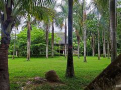 -西双版纳傣族园