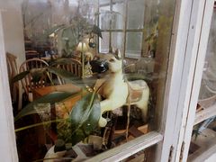 -懒鱼时光馆(沙坪坝店)