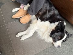 -Onirii Coffee(长乐路店)