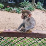 猴岛，万宁市陵水黎族自治县