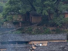 -杨家堂村