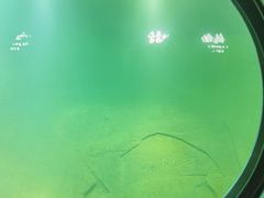 -白鹤梁水下博物馆