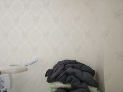 -苗医生草本科技祛痘