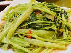 -先鲜鲫鱼粥