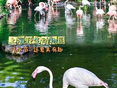 -上海野生动物园