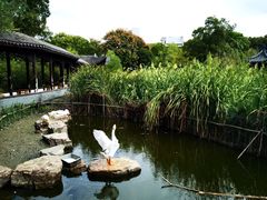 -日出青木·杭帮菜名店