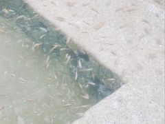 -金汤湾海水温泉度假酒店