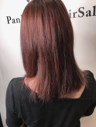 -东方麒麟·潘多拉SALON
