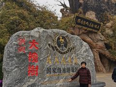 -大槐树寻根祭祖园