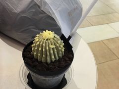 -DQ·蛋糕·冰淇淋(城南嘉园店)
