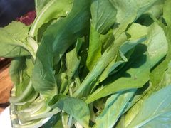 -小饕荟养生火锅(仁和·熙春郡店)
