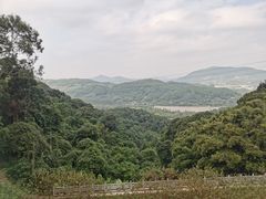 -广州市帽峰山景区
