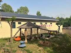 -石家庄市动物园