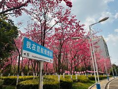 -昆明航空