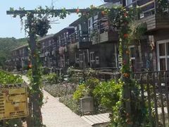 -西涌国际滨海旅游区