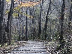 -叠溪松坪沟景区