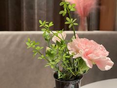 -阿妮叶李(光谷世界城店)