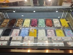 -iceason爱茜茜里·意大利健康冰淇淋(骑龙巷店)