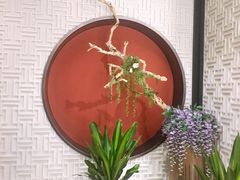 -圆苑(金茂店)