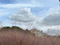-小陆莲花蟹园农家乐(莲花岛店)