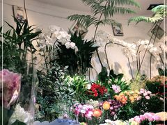 -花草间花行(法华镇路店)