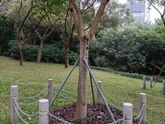 -深圳国际园林花卉博览园