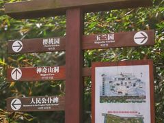 -盛世牡丹苑生态文化旅游区