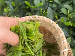 -龙坞茶村