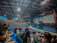 -华夏文旅海洋公园