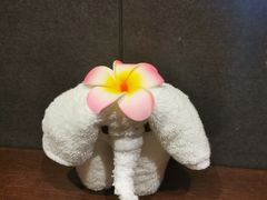 -泰馨玺·正宗泰式按摩SPA(石皮路店)