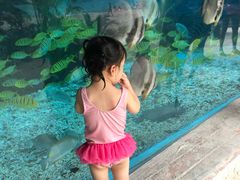 -波塞冬旅游度假区