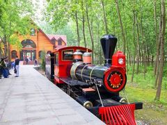 -合肥滨湖国家森林公园