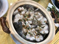 -阿四台山黄鳝饭(东门店)