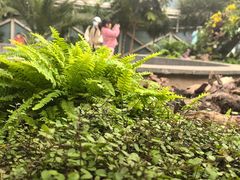 -石家庄市植物园