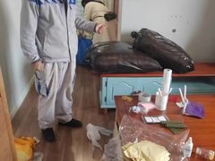 -蚂蚁搬家成都打包搬运公司