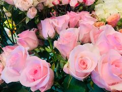 -BoBloom花店(晶耀前滩店)