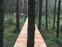 -石棉县孟获城