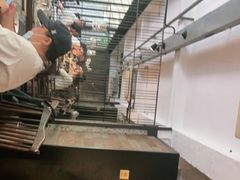 -外婆家(杭州马塍店·杭帮菜名店)