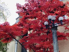 -北山街历史文化街区