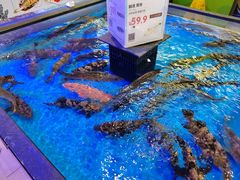 -盒马鲜生(大成店)