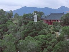 -金鸡山公园
