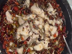 -金三可市井水煮鱼(金碧园店)