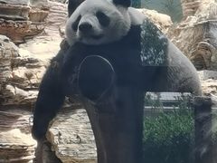 -石家庄市动物园