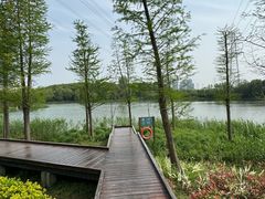 -昆山城市生态森林公园