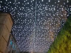 -蝴蝶汇音乐酒馆(罗湖店)